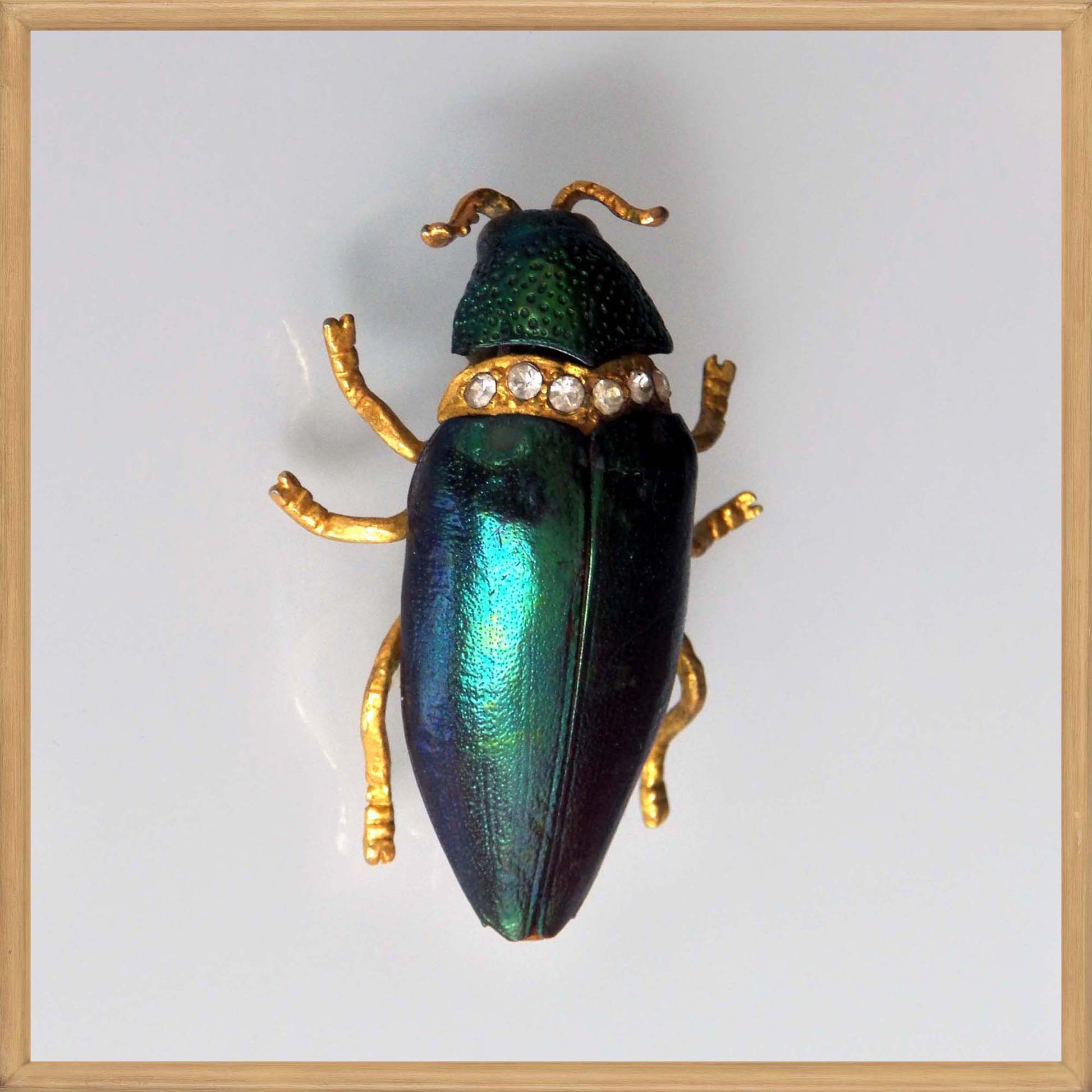 Green Iridescent Elytra Jewel Beetle Brooch