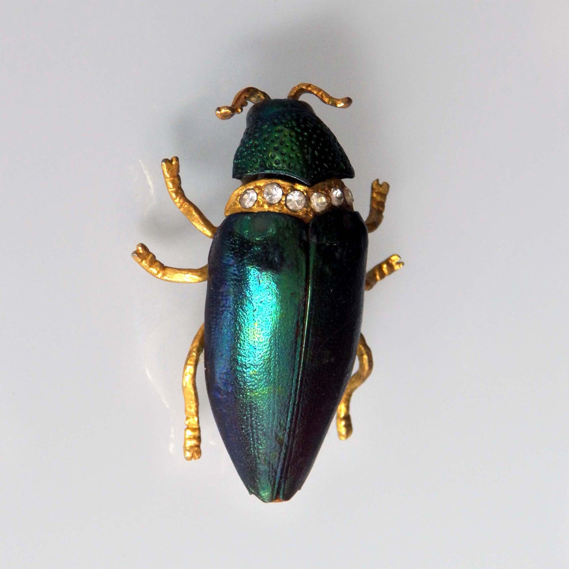 Real Green Bug and Rhinestone Brooch Pin